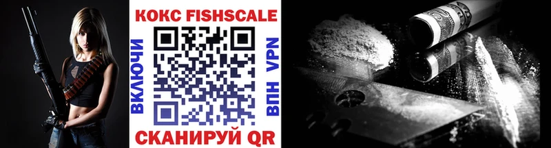 где купить   Полярный  COCAIN VHQ 