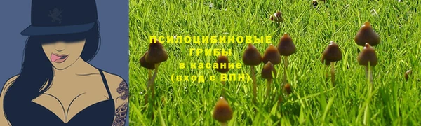 винт Покровск