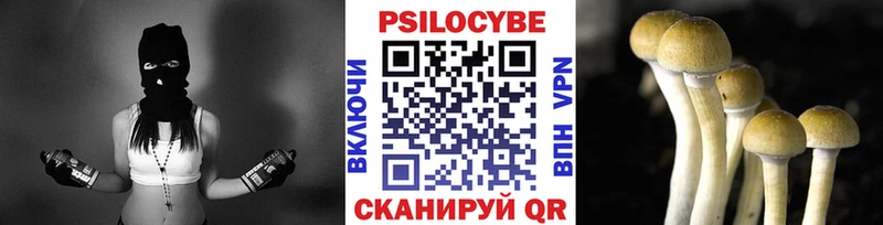 Псилоцибиновые грибы ЛСД  Полярный 